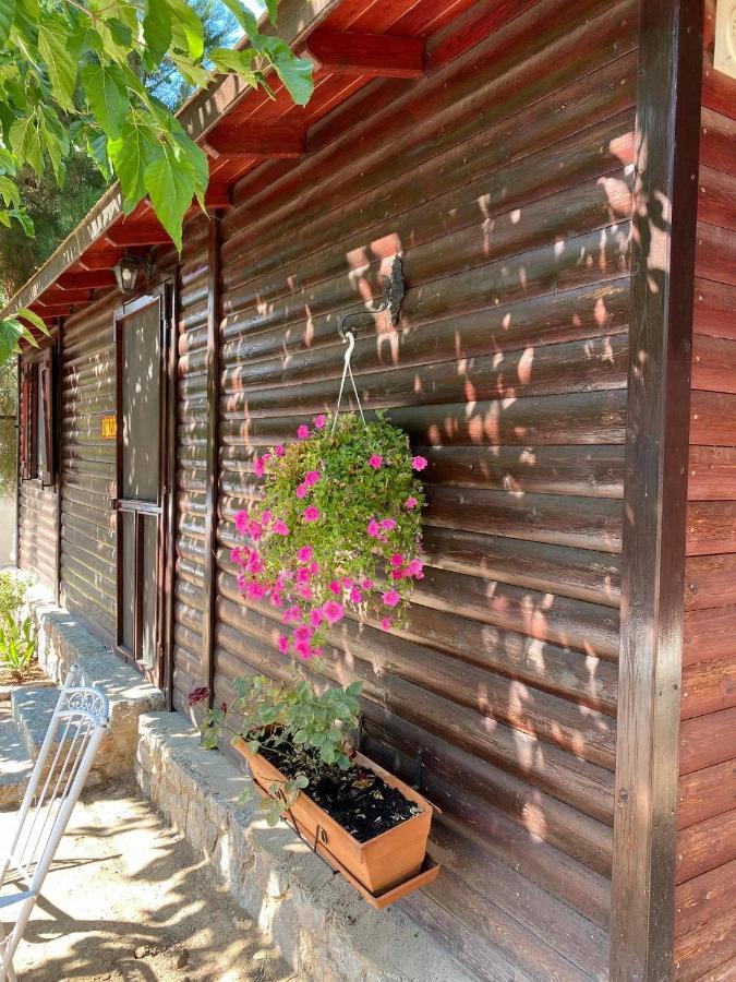 Bungalow - Camping Apollon Delphi ภายนอก รูปภาพ