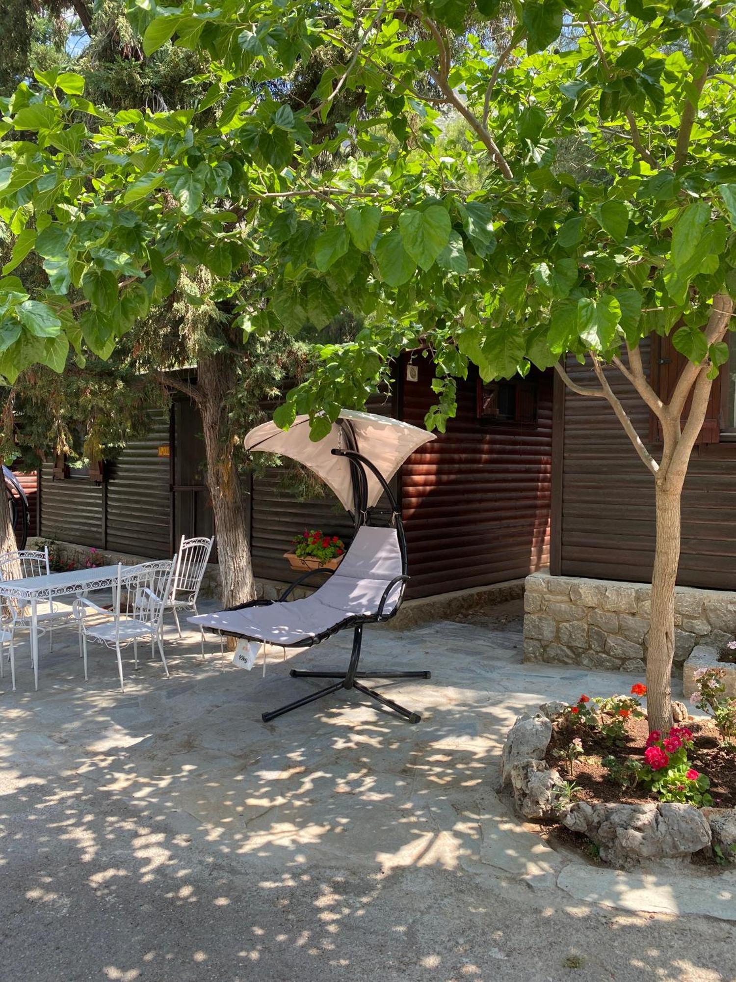 Bungalow - Camping Apollon Delphi ภายนอก รูปภาพ